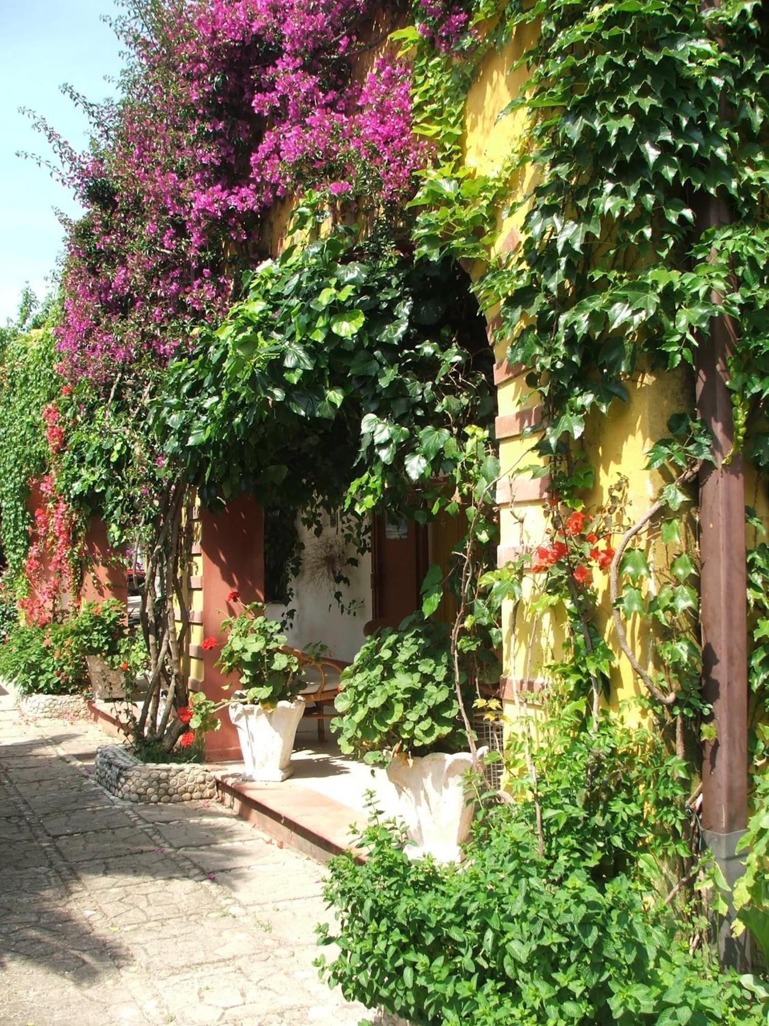 Agriturismo Posta Pastorella Vieste Quarto foto